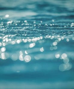 Miller-Stephenson Precision Cleaners & Solvents