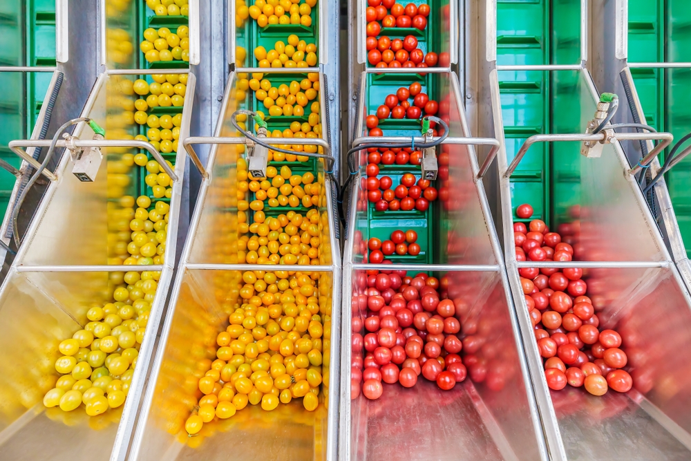 Food Grade Lubricant